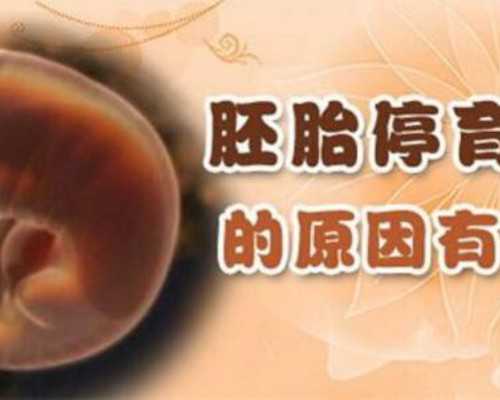 国内供卵什么价格,试管婴儿移植后需要卧床休息多久(试管婴儿移植后需要休息多久)