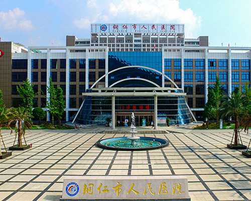 试管代怀价格,直流变压器和交流变压器的区别（直流变压器）