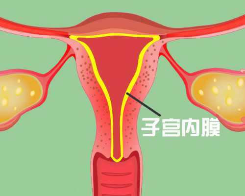 国内哪个医院供卵快一点,2026保定试管婴儿成功需要多少成本？估流程费用明细一览！