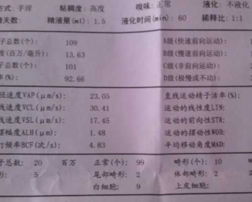 国内供卵借卵,2026年生兔备孕最佳时间表参考，避开十兔九苦月份